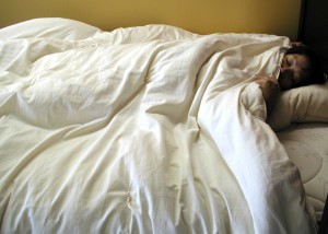 snuggle-up-comforter