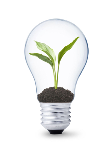 LED-bulbs