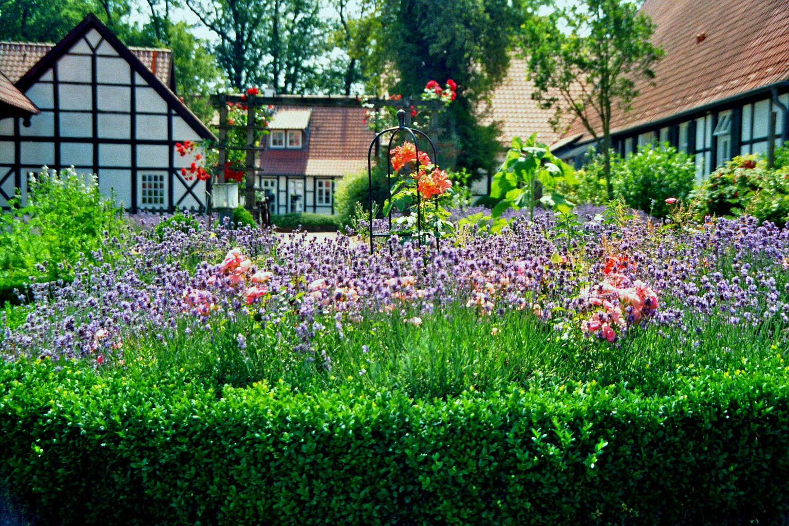 english-garden
