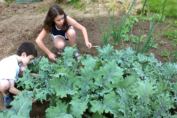 kids-garden