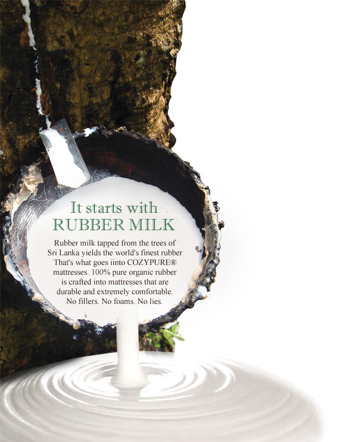 RubberTree_Milk_copy