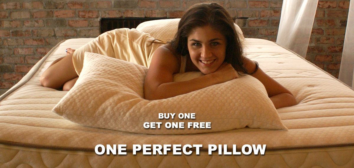 offer-bogo-pillow